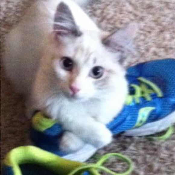 Meet your Posher, Michelle - Picture 15 of 17